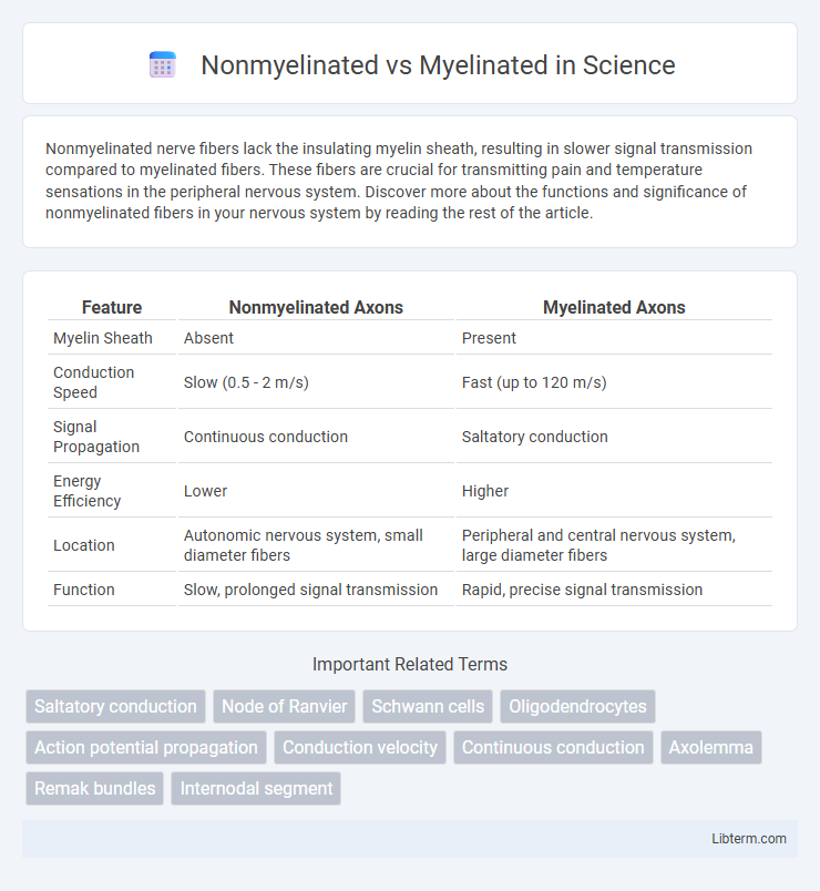 Myelinated vs Nonmyelinated in Science - What is The Difference?