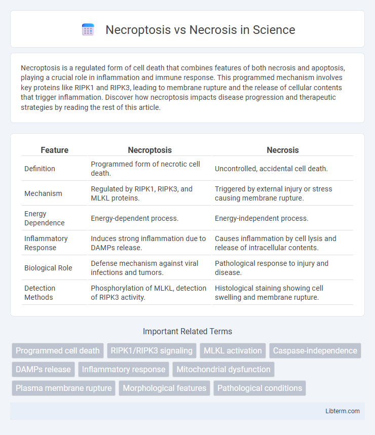 Necrosis vs Necroptosis in Science - What is The Difference?