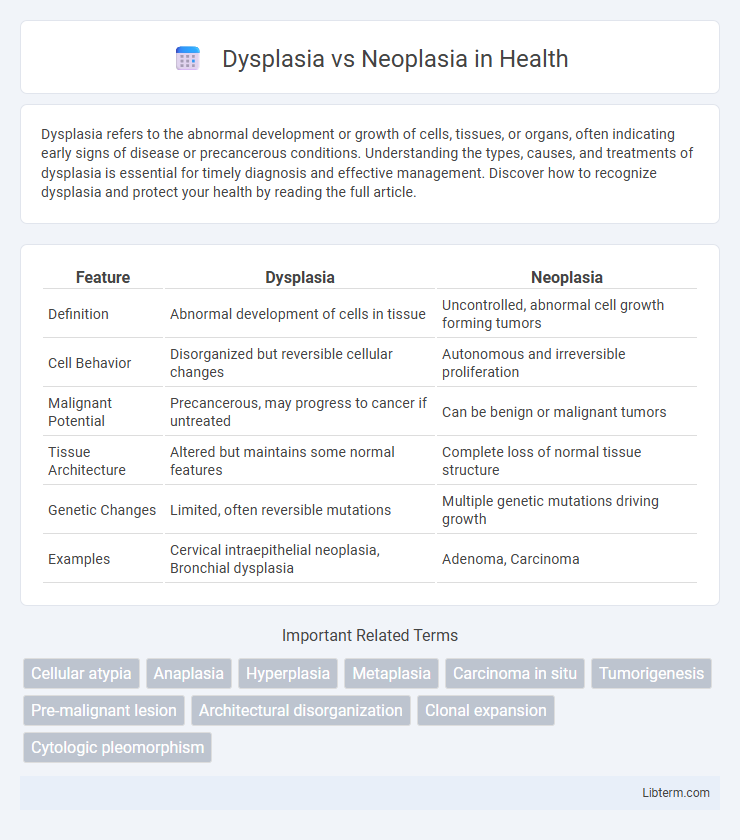 Neoplasia vs Dysplasia in Health - What is The Difference?