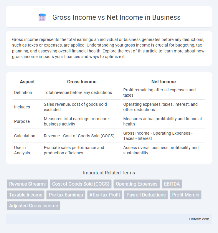 Net Income vs Gross Income in Business - What is The Difference?