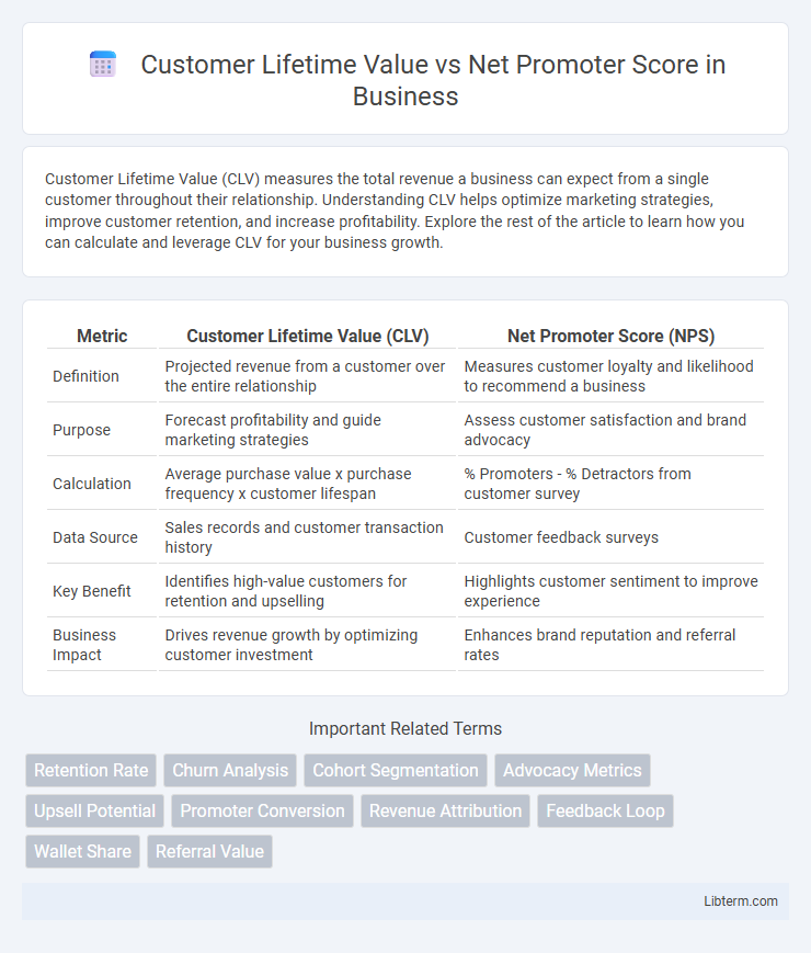 Net Promoter Score vs Customer Lifetime Value in Business - What is The Difference?