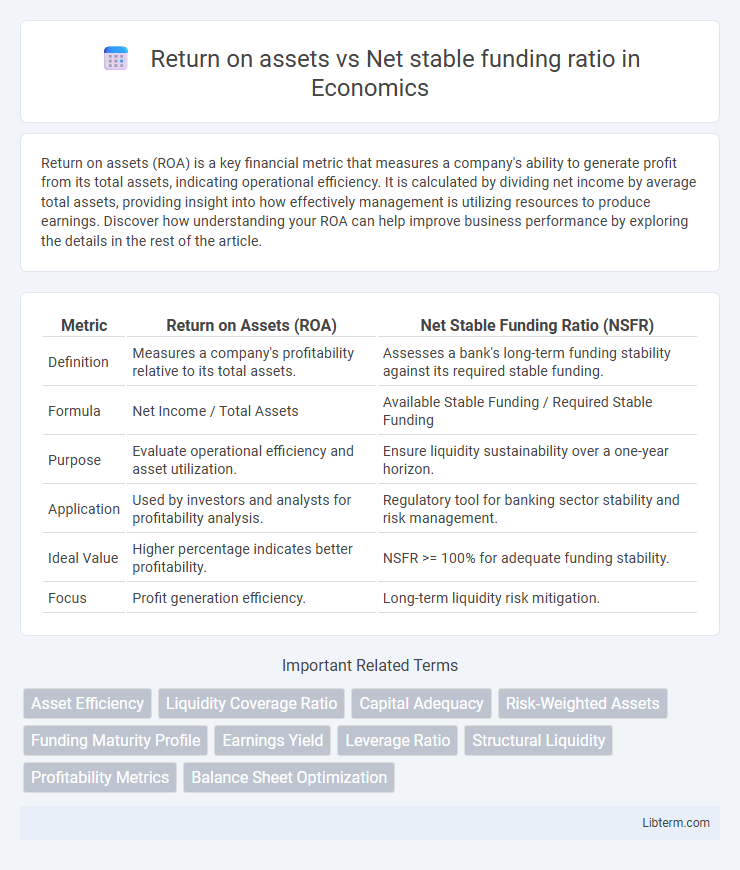 Net stable funding ratio vs Return on assets in Economics - What is The Difference?