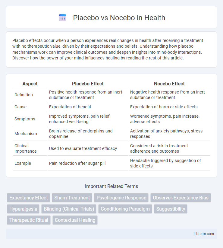 Nocebo vs Placebo in Health - What is The Difference?
