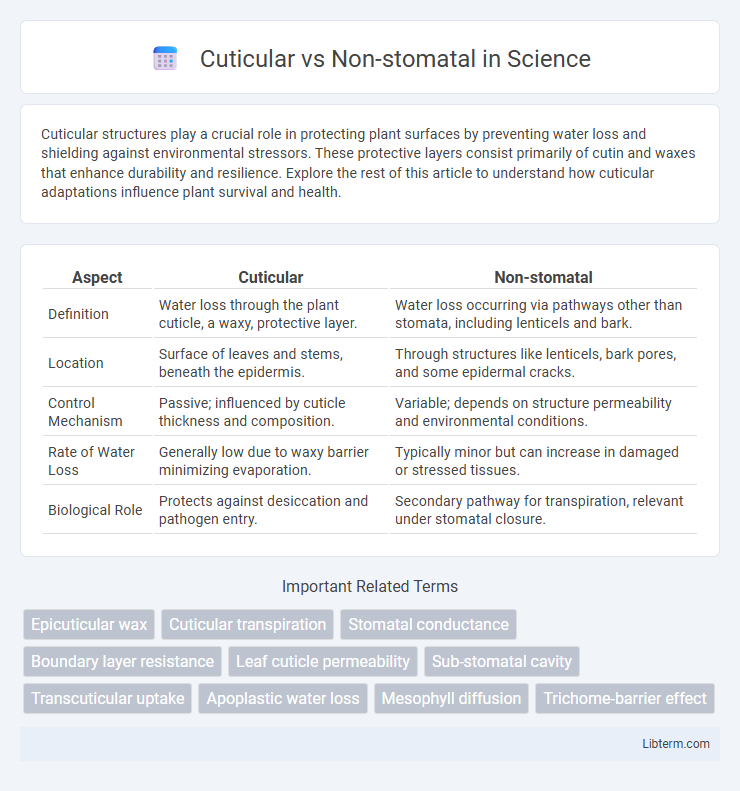 Non-stomatal vs Cuticular in Science - What is The Difference?