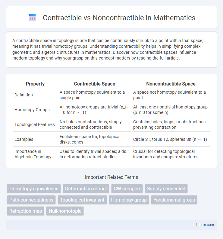 Noncontractible vs Contractible in Mathematics - What is The Difference?
