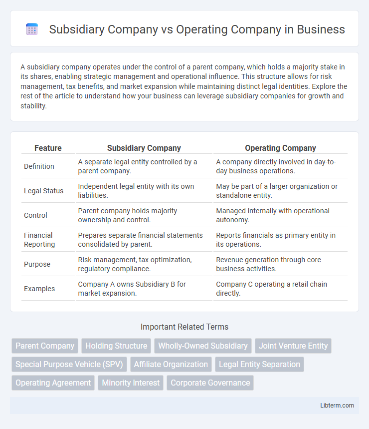 Operating Company vs Subsidiary Company in Business - What is The Difference?