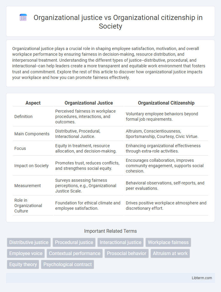 Organizational citizenship vs Organizational justice in Society - What is The Difference?