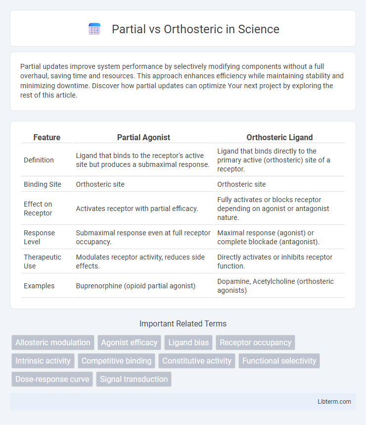 Orthosteric vs Partial in Science - What is The Difference?