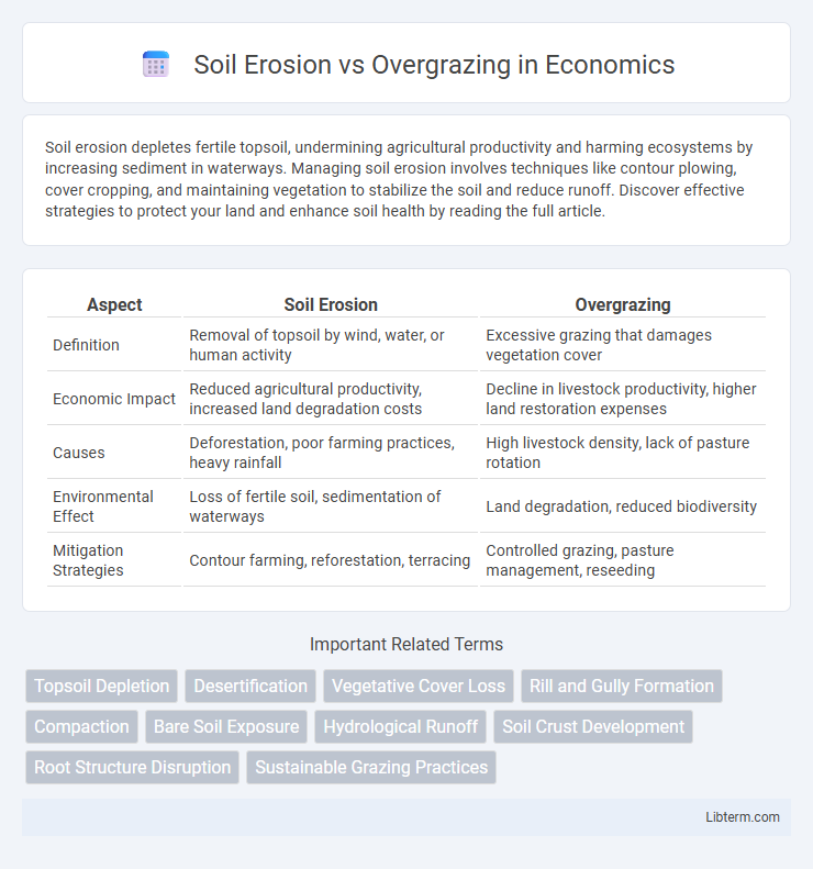 Overgrazing vs Soil Erosion in Economics - What is The Difference?