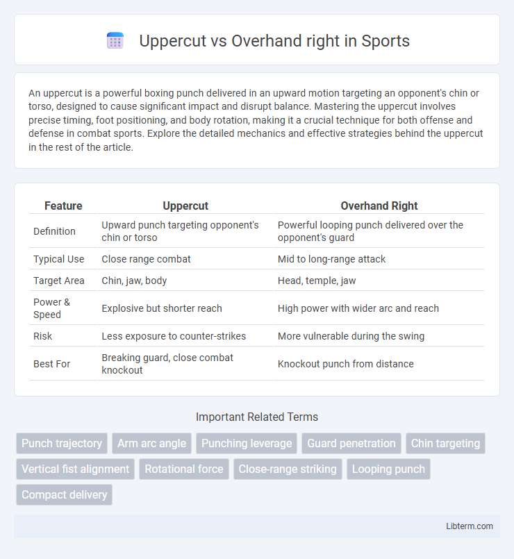 Overhand right vs Uppercut in Sports - What is The Difference?