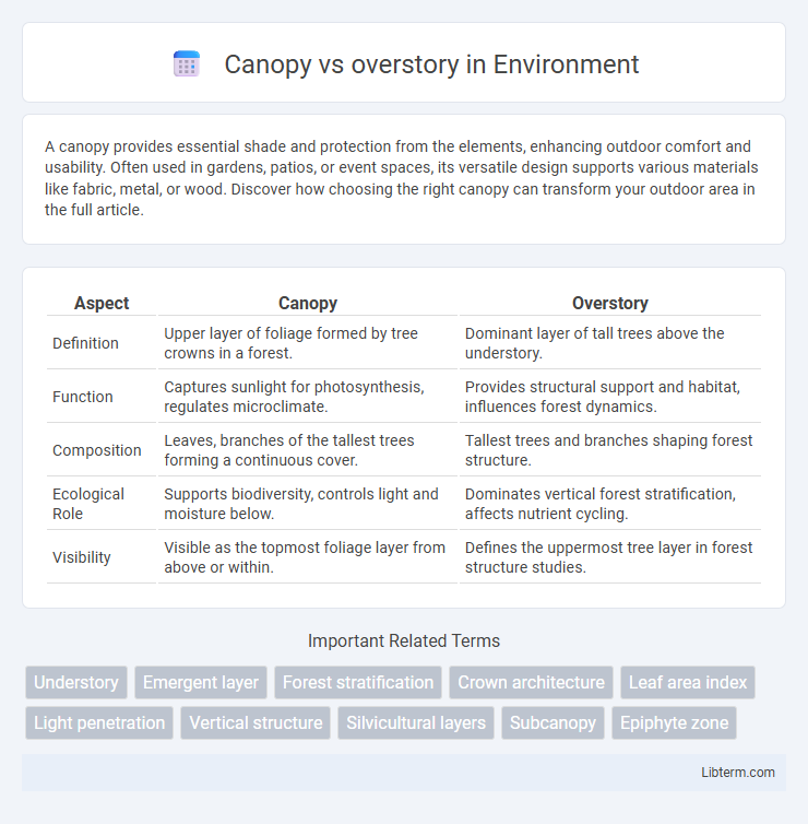 overstory vs Canopy in Environment - What is The Difference?