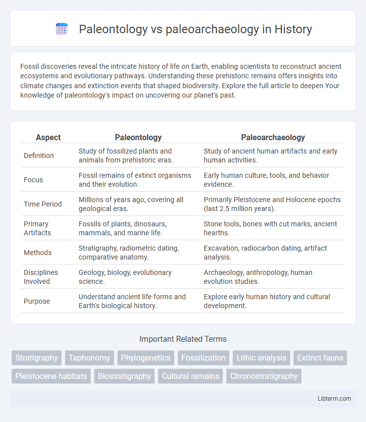 paleoarchaeology vs Paleontology in History - What is The Difference?