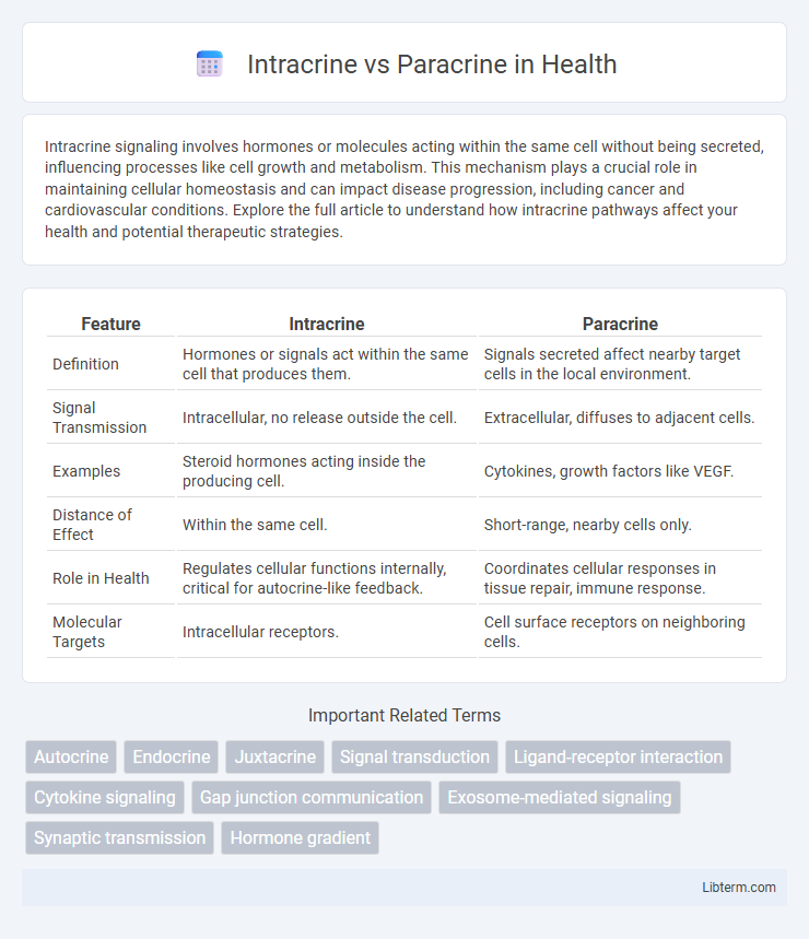 Paracrine vs Intracrine in Health - What is The Difference?