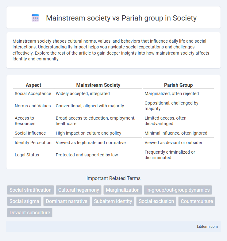 Pariah group vs Mainstream society in Society - What is The Difference?
