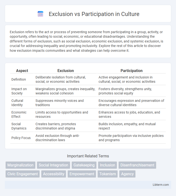 Participation vs Exclusion in Culture - What is The Difference?