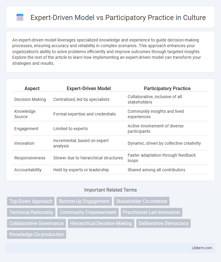 Participatory Practice vs Expert-Driven Model in Culture - What is The Difference?