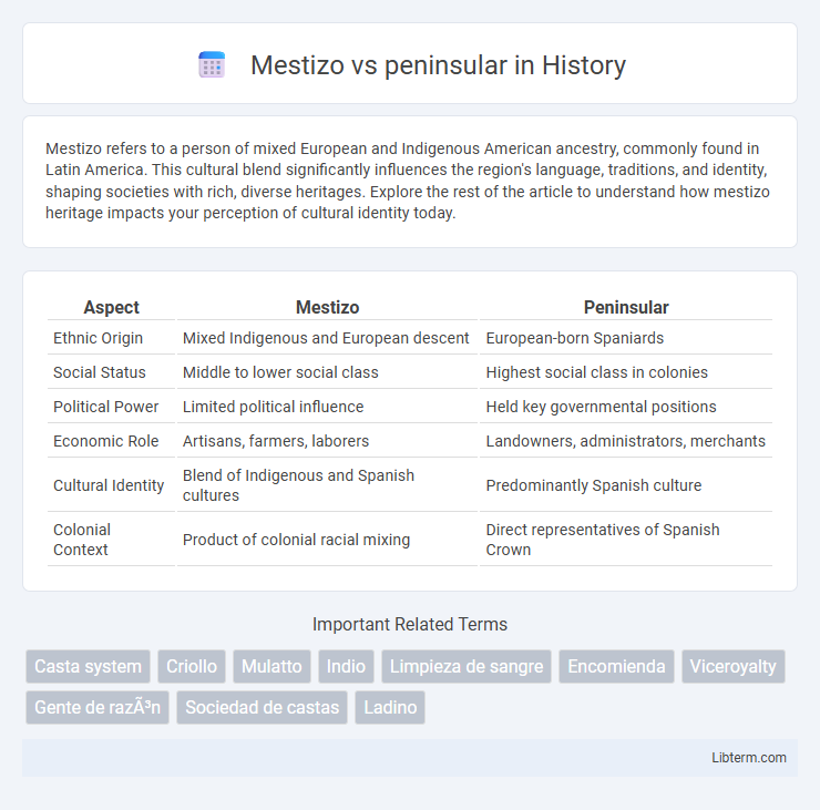 peninsular vs Mestizo in History - What is The Difference?