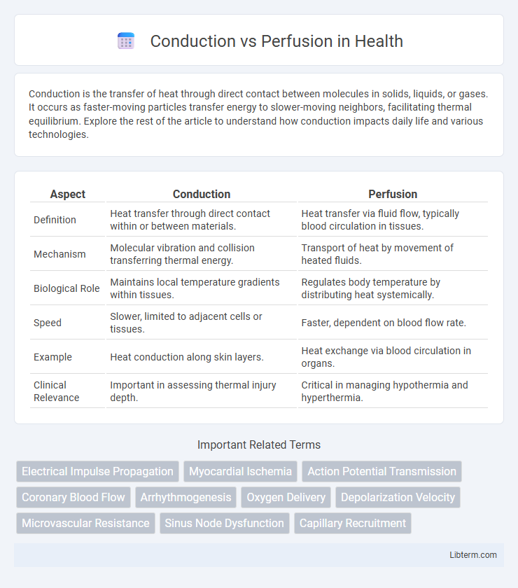 Perfusion vs Conduction in Health - What is The Difference?