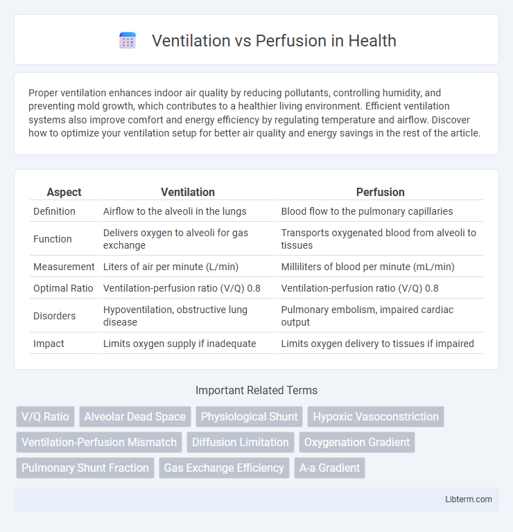 Perfusion vs Ventilation in Health - What is The Difference?