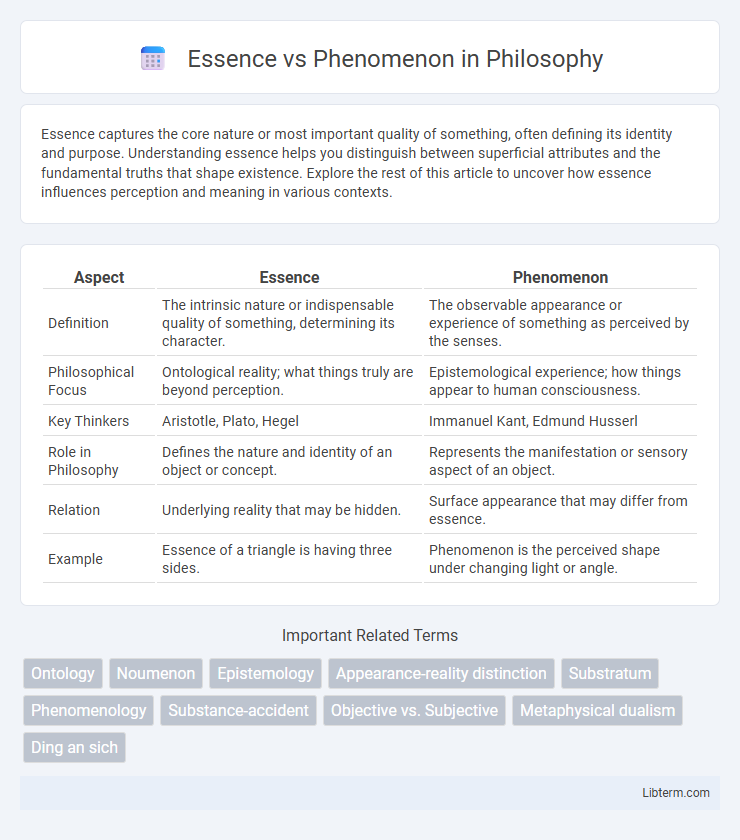 Phenomenon vs Essence in Philosophy - What is The Difference?