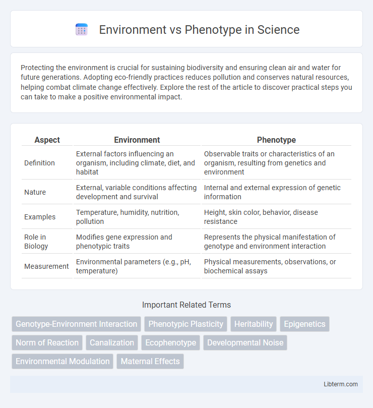 Phenotype vs Environment in Science - What is The Difference?