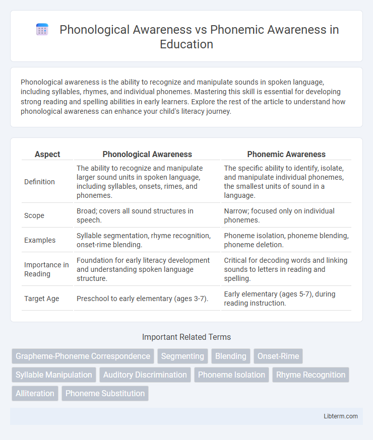 Phonemic Awareness vs Phonological Awareness in Education - What is The Difference?