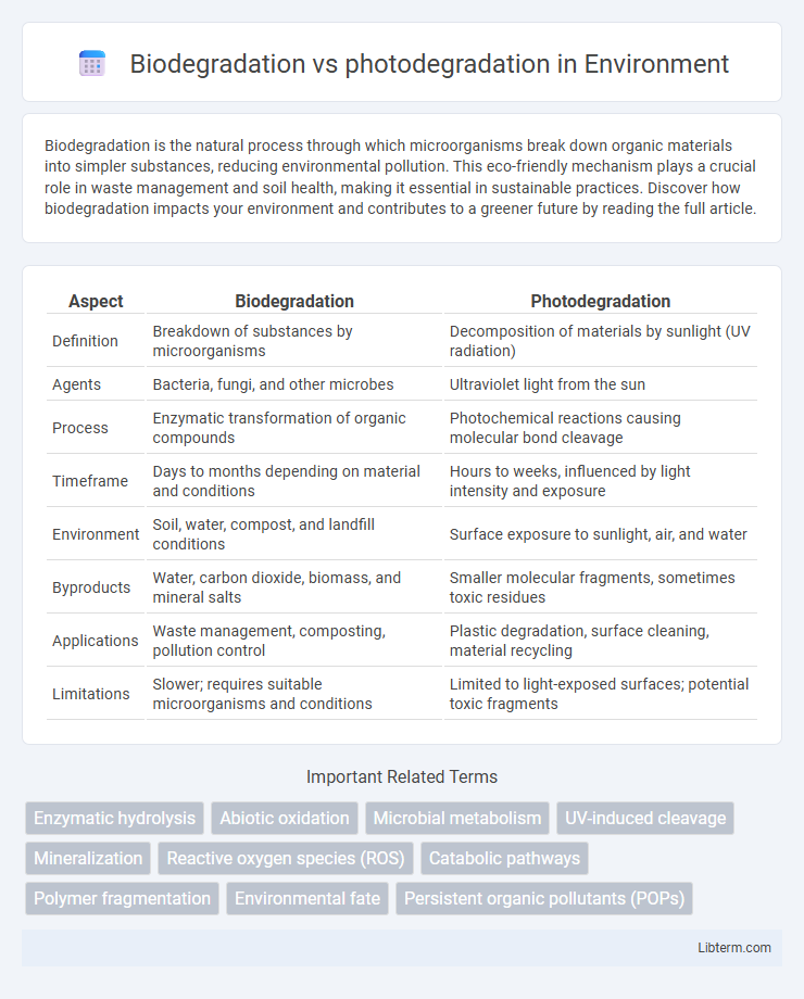 photodegradation vs Biodegradation in Environment - What is The Difference?