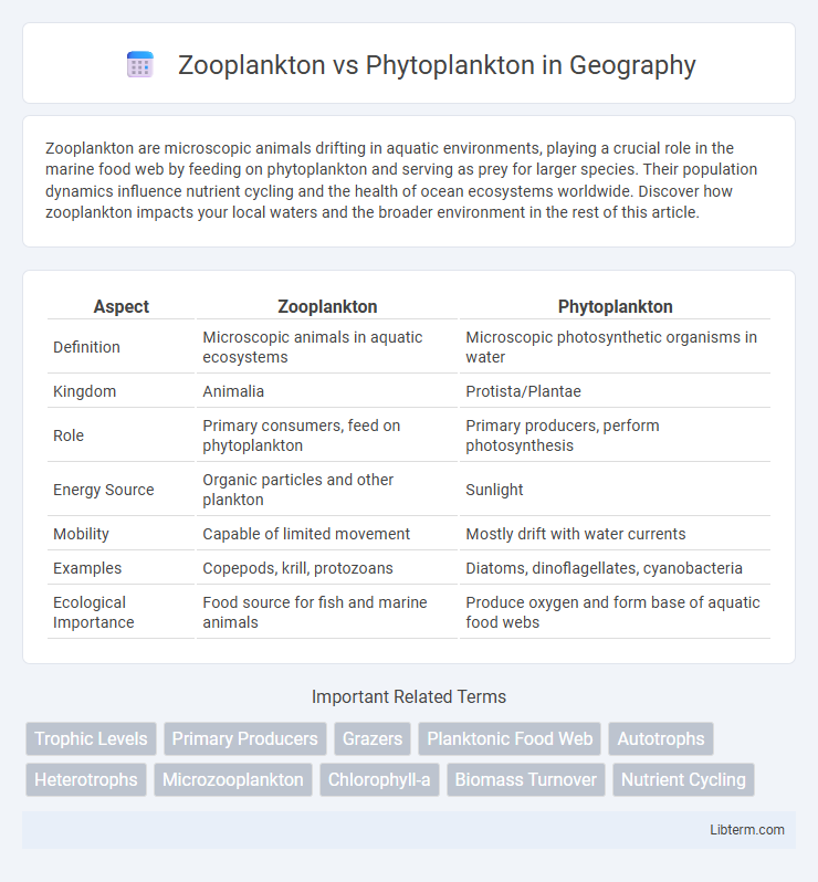 Phytoplankton vs Zooplankton in Geography - What is The Difference?