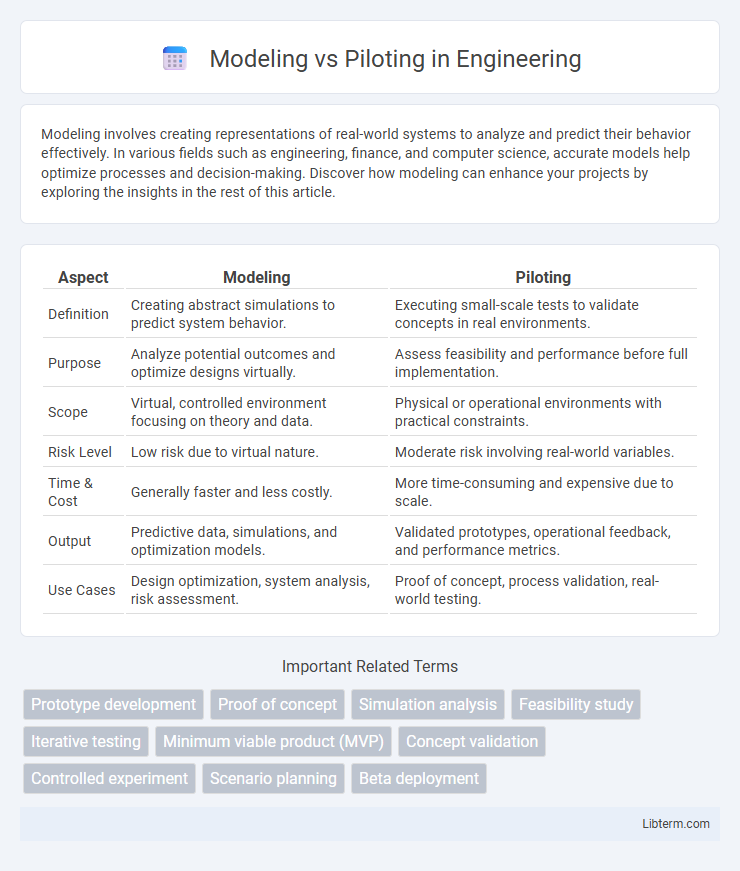Piloting vs Modeling in Engineering - What is The Difference?