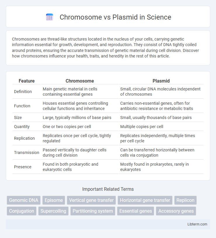 Plasmid vs Chromosome in Science - What is The Difference?