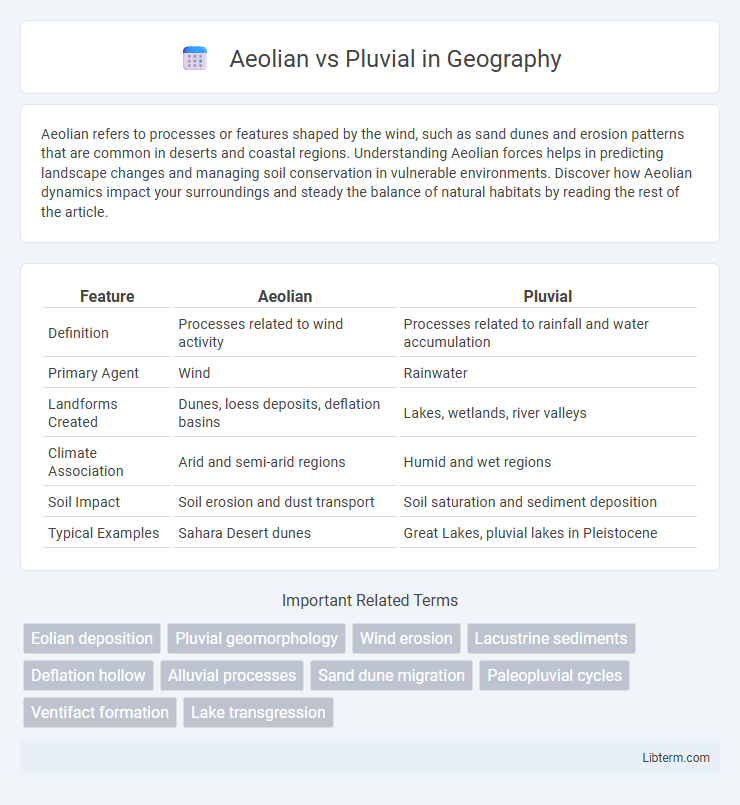 Pluvial vs Aeolian in Geography - What is The Difference?
