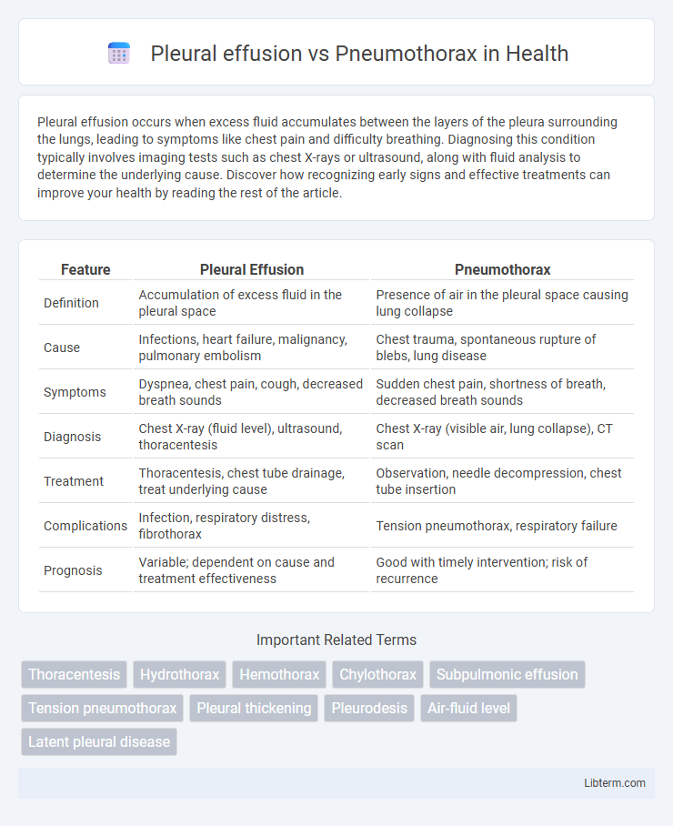 Pneumothorax vs Pleural effusion in Health - What is The Difference?