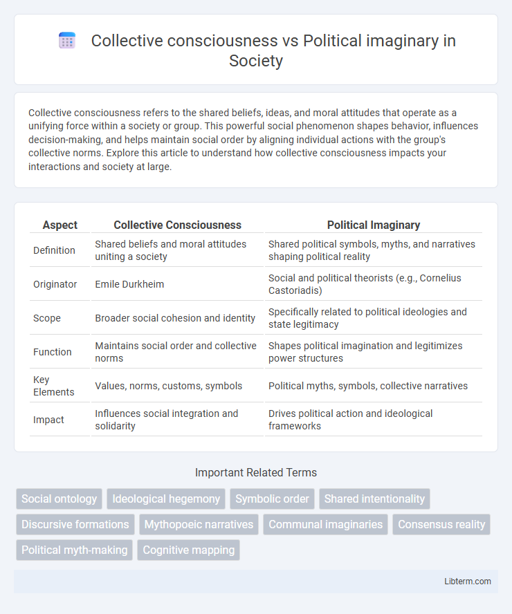 Political imaginary vs Collective consciousness in Society - What is The Difference?