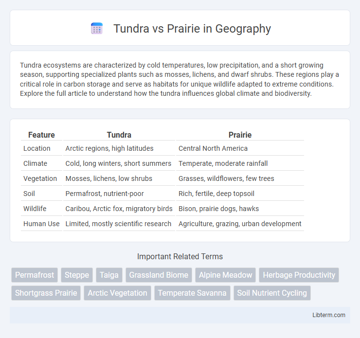 Prairie vs Tundra in Geography - What is The Difference?