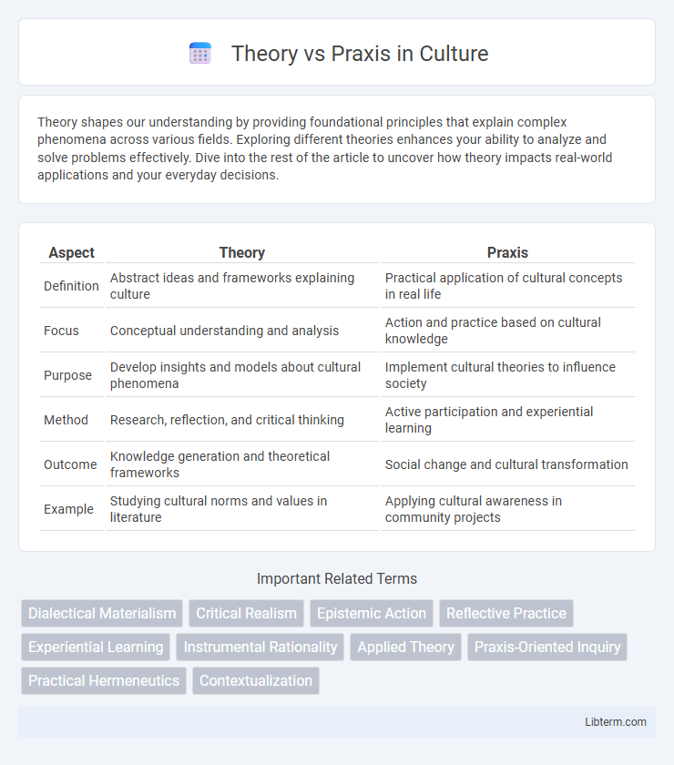 Praxis vs Theory in Culture - What is The Difference?