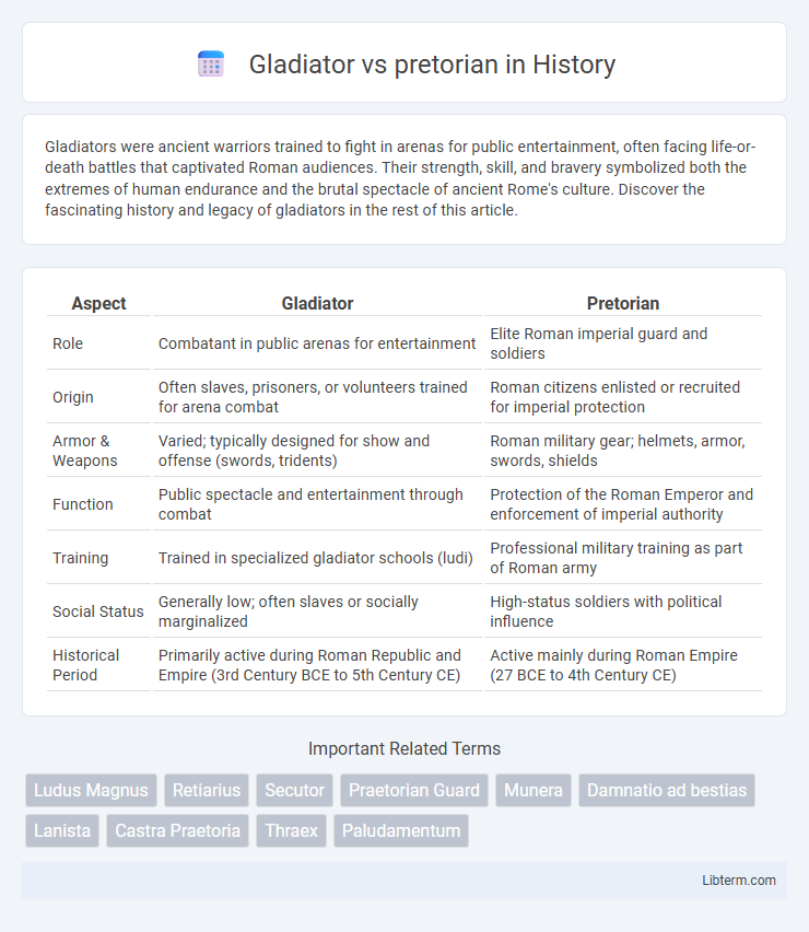 pretorian vs Gladiator in History - What is The Difference?