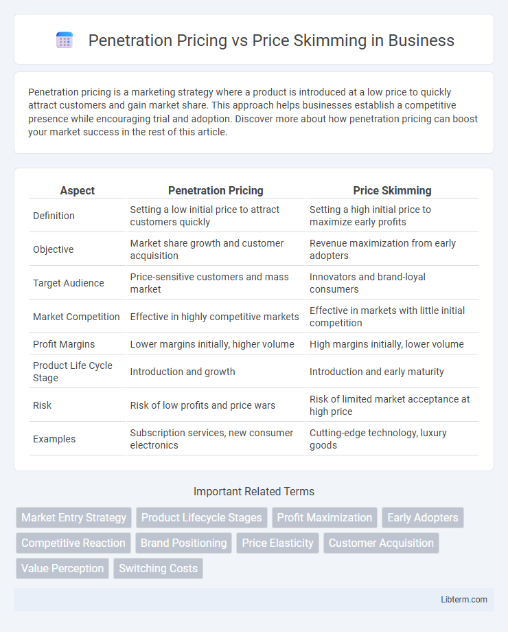 Price Skimming vs Penetration Pricing in Business - What is The Difference?