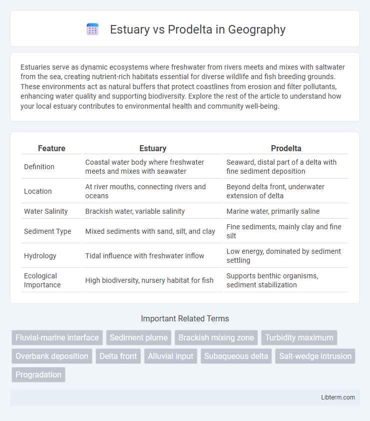 Prodelta vs Estuary in Geography - What is The Difference?