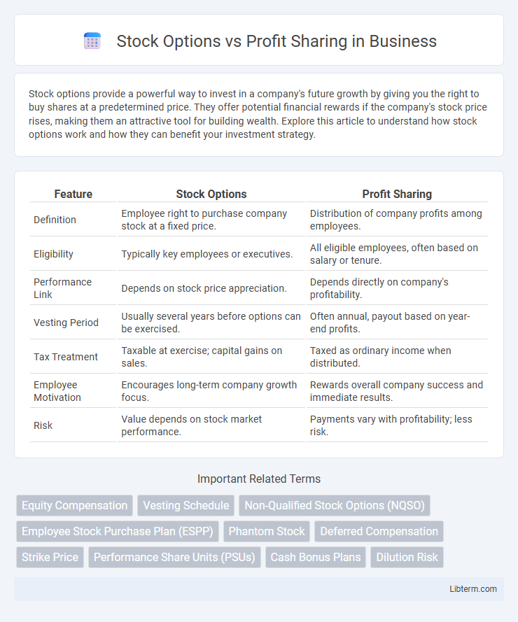 Profit Sharing vs Stock Options in Business - What is The Difference?