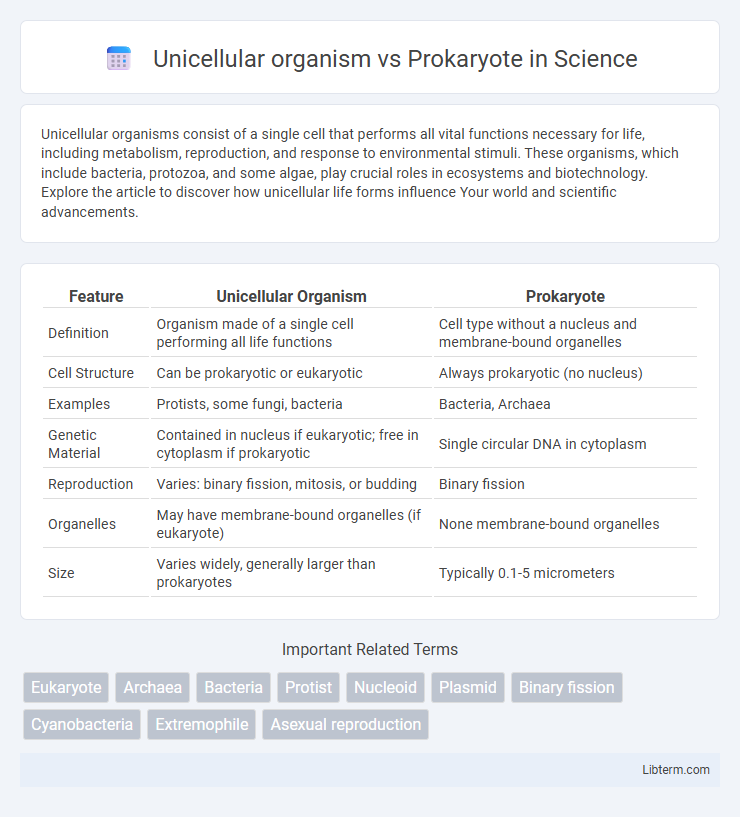 Prokaryote vs Unicellular organism in Science - What is The Difference?