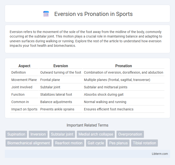 Pronation vs Eversion in Sports - What is The Difference?