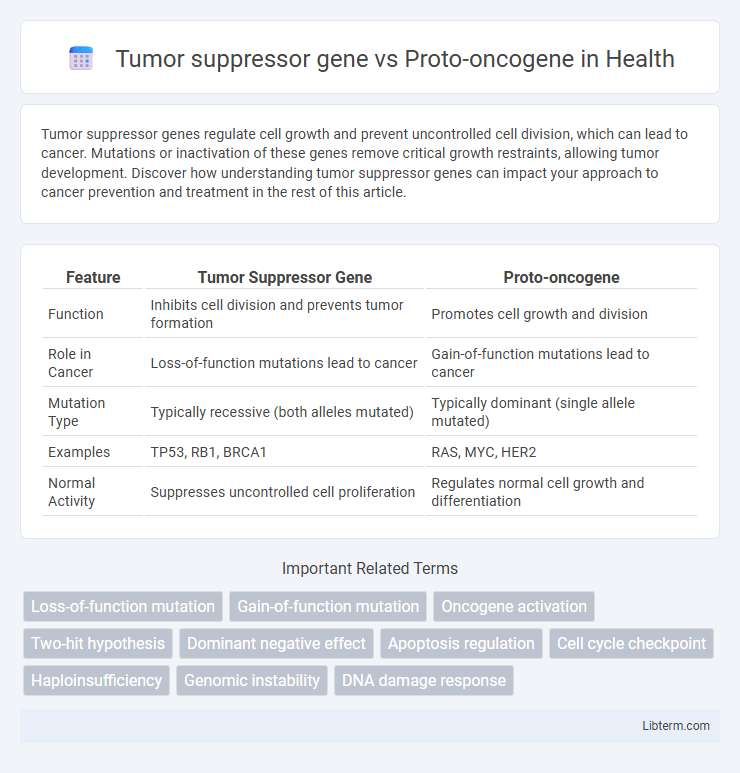 Proto-oncogene vs Tumor suppressor gene in Health - What is The Difference?