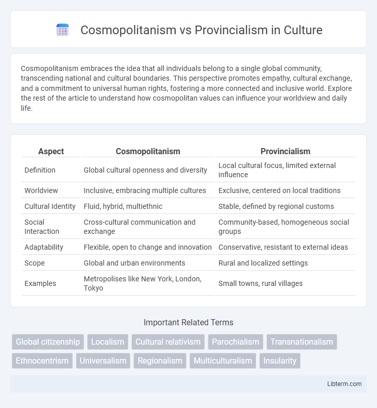 Provincialism vs Cosmopolitanism in Culture - What is The Difference?