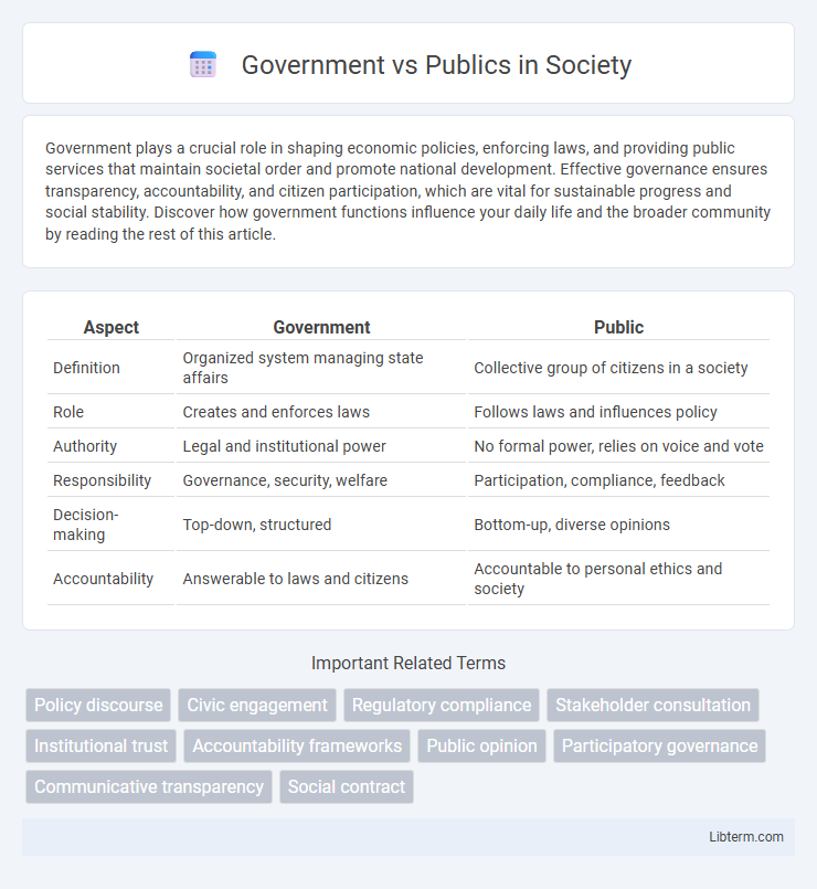 Publics vs Government in Society - What is The Difference?