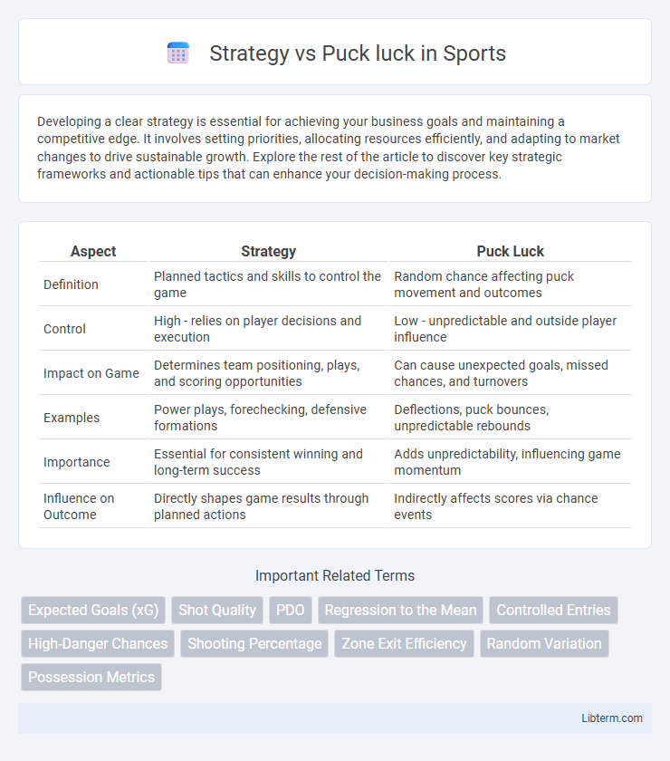 Puck luck vs Strategy in Sports - What is The Difference?