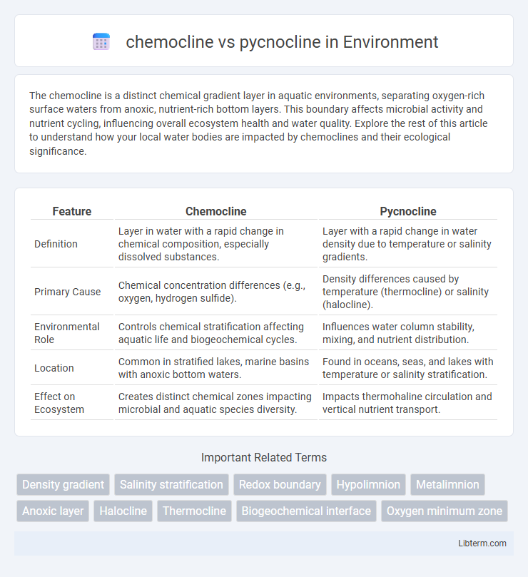 pycnocline vs chemocline in Environment - What is The Difference?
