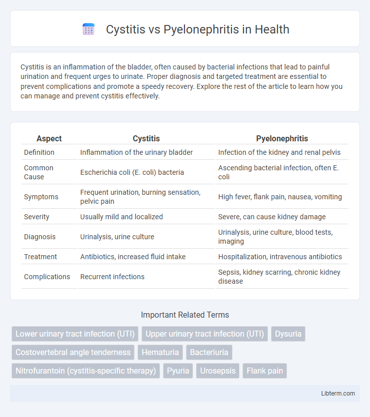 Pyelonephritis vs Cystitis in Health - What is The Difference?