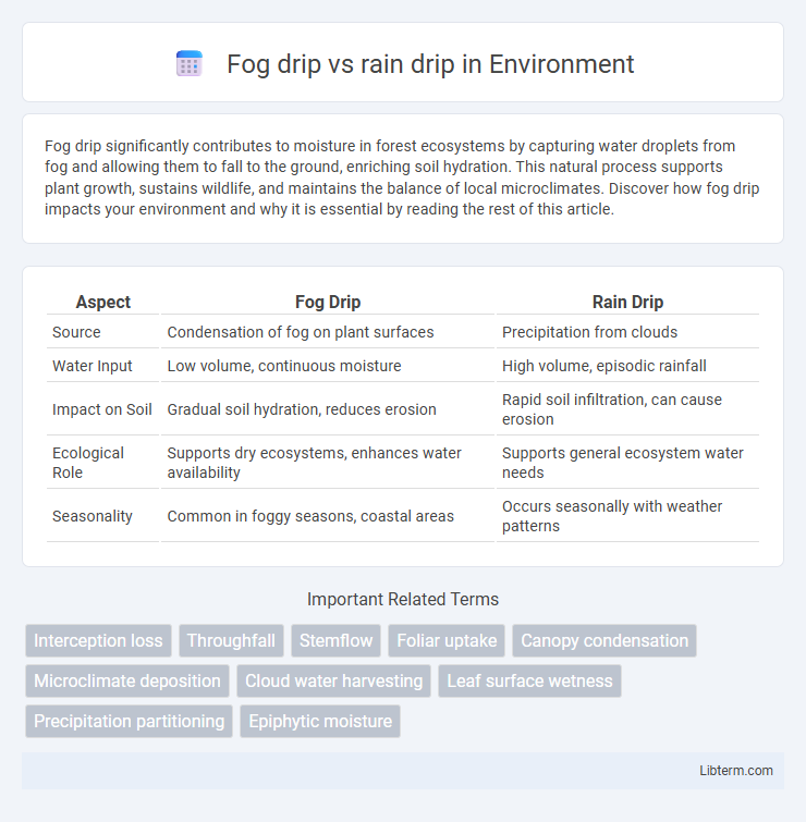 rain drip vs Fog drip in Environment - What is The Difference?