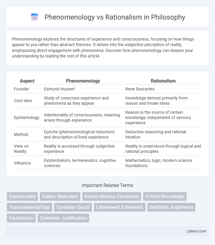 Rationalism vs Phenomenology in Philosophy - What is The Difference?