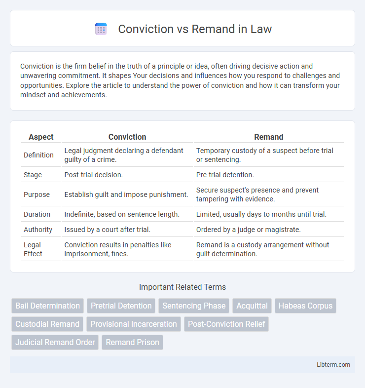 Remand vs Conviction in Law - What is The Difference?